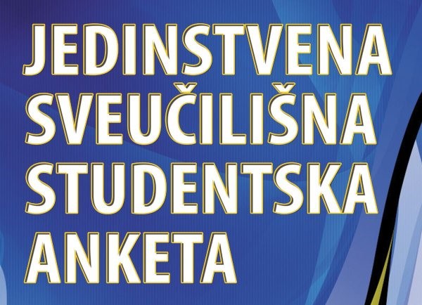 University Student Survey 2024